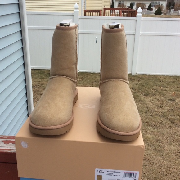 UGG CLASSIC SHORT 40:40:40 - Picture 6 of 8